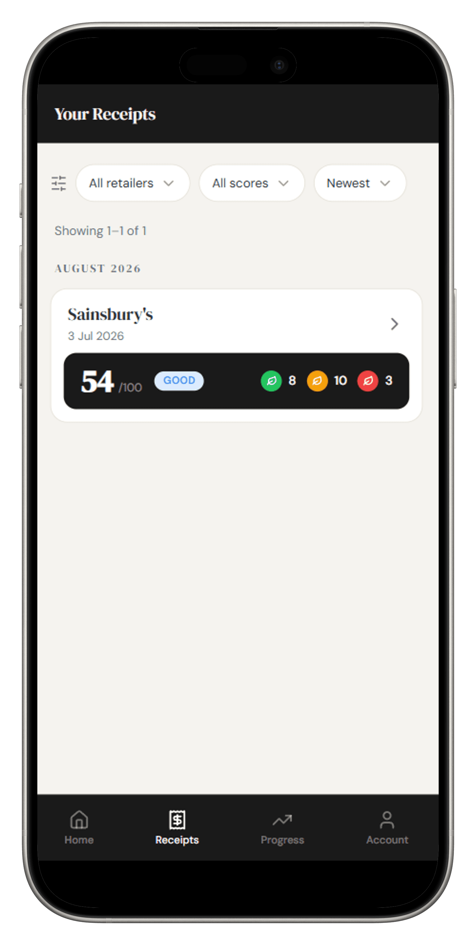 The receipts list, grouped with retailer and date filters